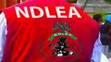 NDLEA arrests wanted drug kingpin after 13yr manhunt