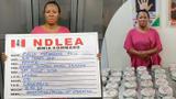 NDLEA intercepts drug shipments hidden in baby food tins, clothings