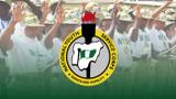 Jubilation as NYSC begins N77,000 payment to corps members