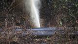 Pipeline shadows: The human and economic cost of oil theft in Niger Delta