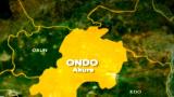 Ondo Gov’t raids cannabis farm, arrests six in protected forest reserve