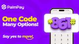 Palmpay unveils USSD code for enhanced financial access