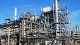 Port Harcourt Refinery shutdown may trigger new fuel price surge — IPMAN