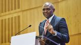 Elumelu to European Investors: Don’t be scared off by Africa’s risks