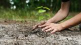 Polaris Bank, NCF expand nationwide tree planting to Lagos, Ogun, Kaduna