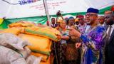 Abiodun flags off distribution of fertilisers, promises to combat food scarcity