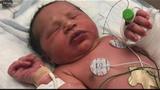 Shock in Nasarawa as newborn found abandoned in bush