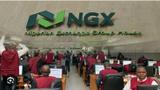 NGX slumps 0.45% as Axa Mansard, Learn Africa, lead market decline