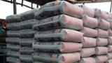 Dangote Cement launches ₦100bn commercial paper