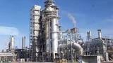 Dangote’s N720bn fuel distribution drive to save Nigerians over N1.7trn annually