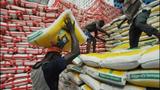 FG suspends sale of N40,000 subsidised rice to civil servants