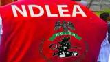 Oyo State NDLEA arraigns 2 over alleged drug trafficking