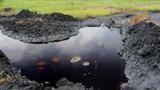 Oil spill occurs at SPDC Bonny Terminal