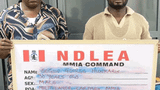 NDLEA nabs ex-footballer, 72-year-old grandma, others in major drug raids