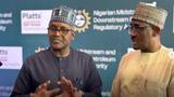 Reps summon Dangote, NMDPRA