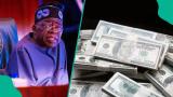 FG to borrow N17.89trn to finance 2026 budget deficit