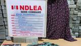 NDLEA foils fake pregnancy drug plot at Seme border