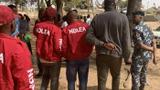 NDLEA seizes 2115kg illicit drugs, arrests 187 in 4 months in Bauchi