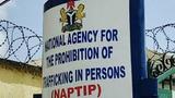 NAPTIP launches investigation into viral assault of Benue schoolgirl