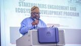 Orange Economy presents opportunity to create sustainable economic growth – NITDA DG