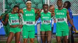 NSC sets up diaspora talent committee