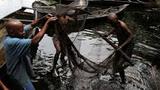 Renaissance Africa unveils projects in oil spill-impacted Rivers communities