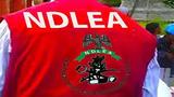 NDLEA intercepts N3.4bn Loud, opioids, arrests fake police officer, mechanic-drug dealer
