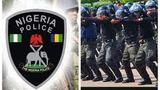 Police fix April 28–30 for recruitment exam in Borno