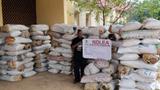 NDLEA raids Edo drug warehouse, seizes 1,378kg of cannabis