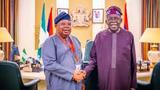 Tinubu nominates Tegbe as Power Minister