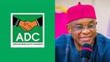 ADC State Chairmen back INEC’s delisting of David Mark led NWC