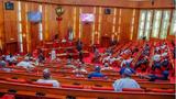 Senate orders probe into, relief for Adamawa attack victims