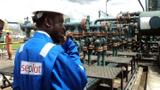 Seplat Energy tops N10,000 per share