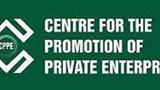 CPPE calls for accelerated reforms to improve electricity supply