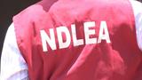 NDLEA arrests over 400 drug suspects, secures 50 convictions in Kano – Commander