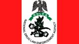 NDLEA raids Kano drug joints, arrests 6 suspects