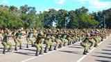 Physical fitness crucial to troops’ combat readiness, operational effectiveness – CDS