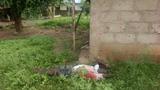 Imole Campaign Council accuses APC of complicity in Women leader son’s death