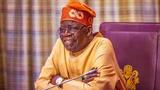 World Biodiversity Day: NCF urges Tinubu to sign endangered species bill
