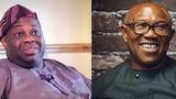 You missed your chance to prove your strength — Momodu tells Obi