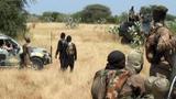 ISWAP commanders, IEDs specialist surrender to troops in Yobe