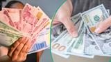 FX market inflows plunge by 26%, as CBN sustains six-week zero supply stance