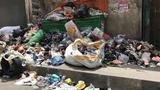 8 sentenced to community service over illegal waste dumping