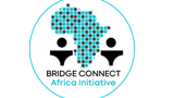 Bridge Connect Africa launches North-West youth development agenda