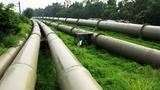 ‎FG, Alberta deepen cooperation on gas development, energy transition