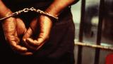 Driver to spend 1 year in correctional centre for stealing 10 cartons of milk