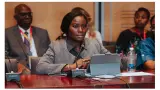 Nigeria’s upstream investments have risen by 40% — Verheijen