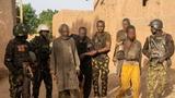 Police begins crackdown on unregistered vehicles in Katsina