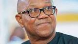 Presidency dismisses Obi’s call for Tinubu’s resignation