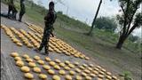 Troops intercept suspected drug trafficker with 235kg cannabis on Abuja route